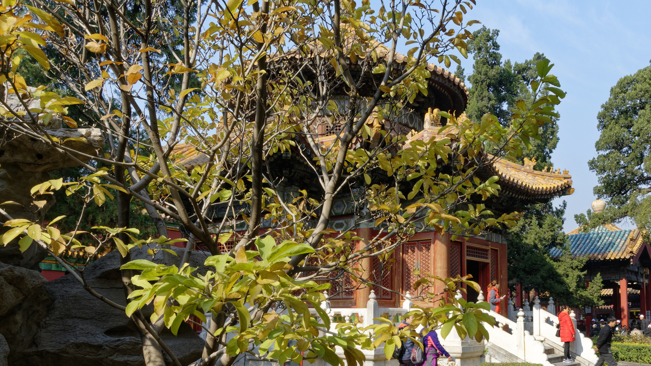 20161102 115632 The Forbidden City, Beijing